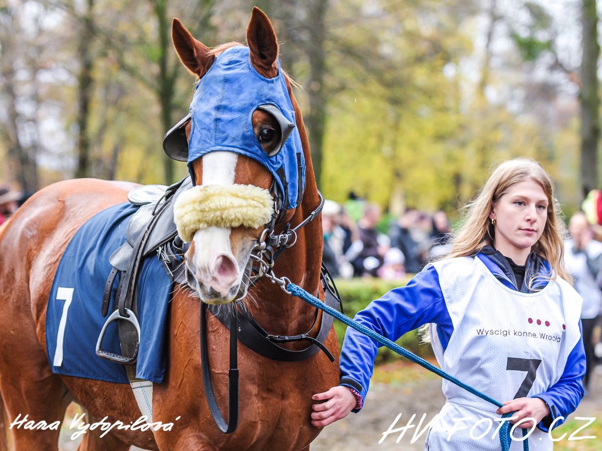 DSC_5990 kopie.jpg